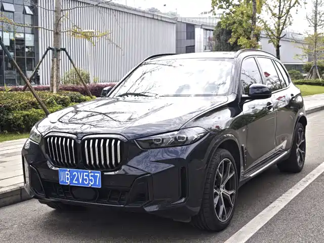 BMW BMW X5 2024