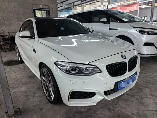 BMW BMW 2 Series (Import) 2019