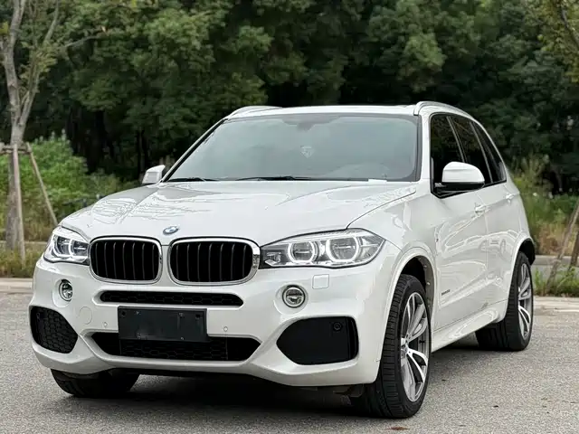 BMW BMW X5 (Import) 2018