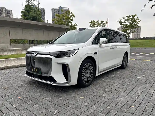 Voyah Auto Voyah Dreamer 2025