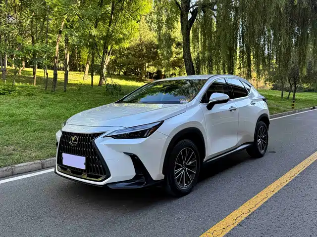 Lexus Lexus NX 2024