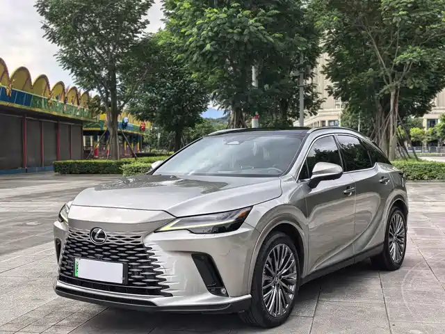Lexus Lexus RX New Energy