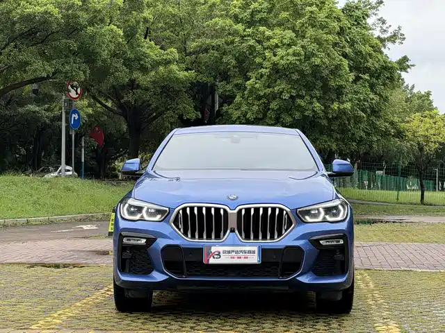 BMW BMW X6 2020