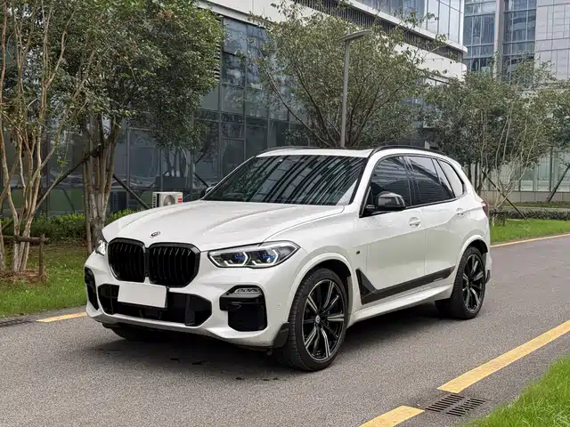 BMW BMW X5 (Import) 2019