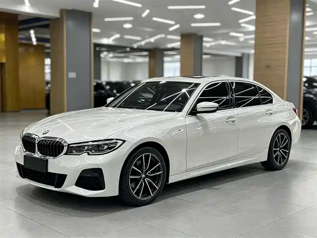BMW BMW 3 Series 2020