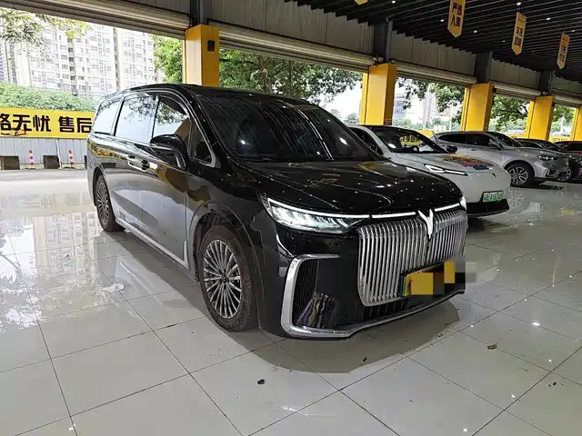 Voyah Auto Voyah Dreamer 2025