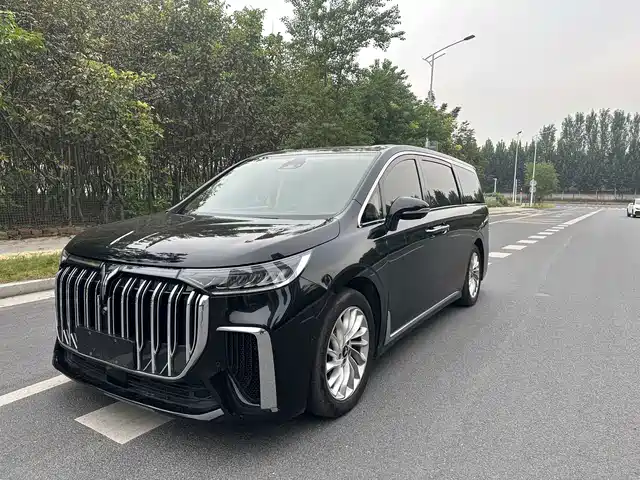Voyah Auto Voyah Dreamer 2024