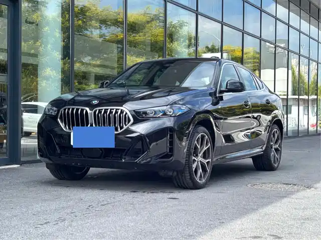 BMW BMW X6 2025