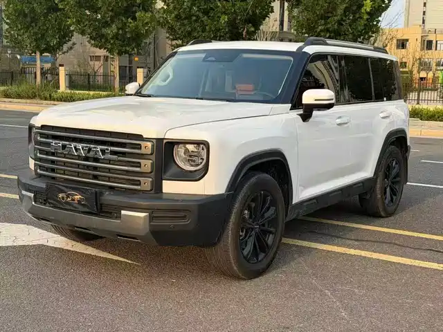 Haval Haval Meng Long NEV