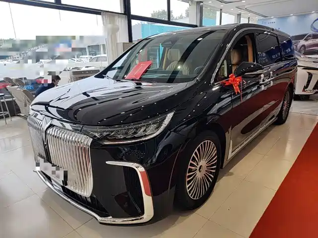 Voyah Auto Voyah Dreamer 2024