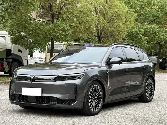 Voyah Auto VOYAH FREE 2025