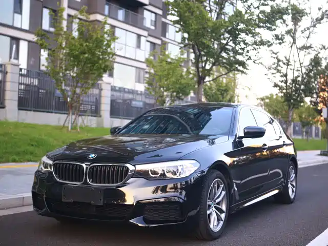 BMW BMW 5 Series 2020