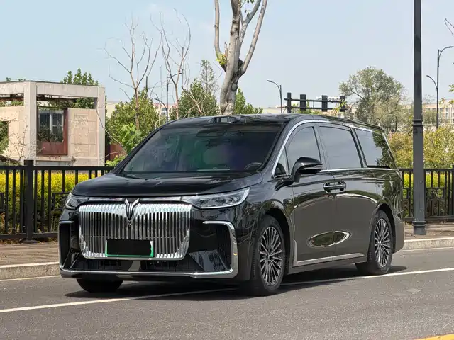 Voyah Auto Voyah Dreamer 2025