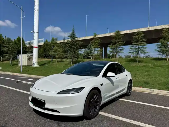 Tesla Model 3 2025