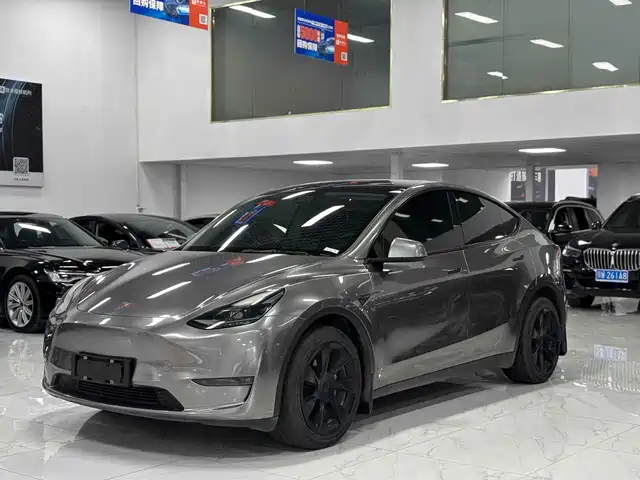 Tesla Model Y 2021