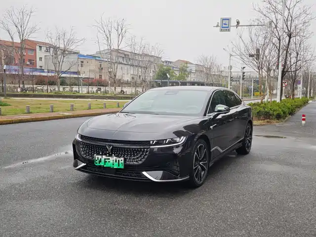 Voyah Auto VOYAH Zhuiguang 2024
