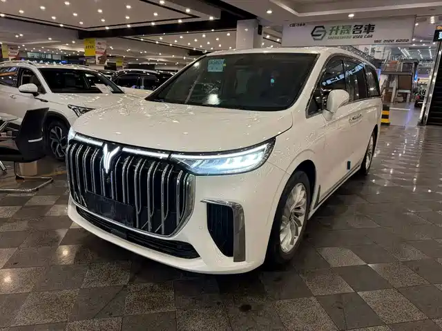 Voyah Auto Voyah Dreamer 2023