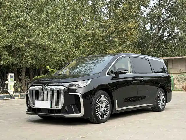 Voyah Auto Voyah Dreamer 2024