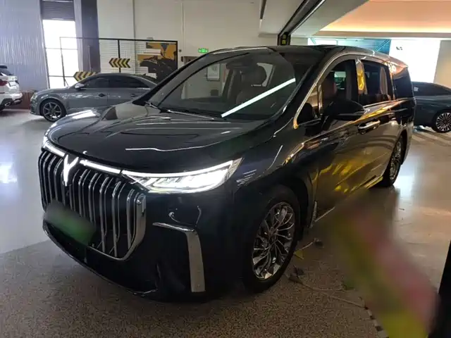 Voyah Auto Voyah Dreamer 2023
