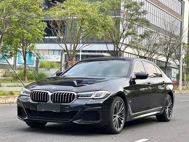 BMW BMW 5 Series 2021