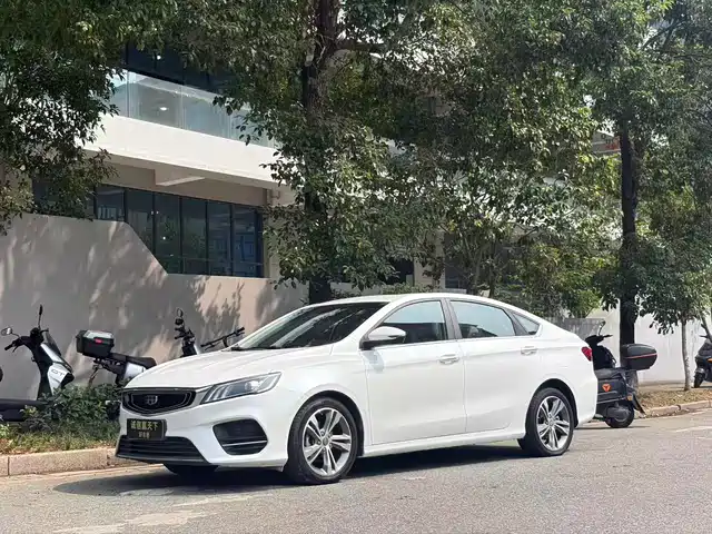 Geely Binrui 2019