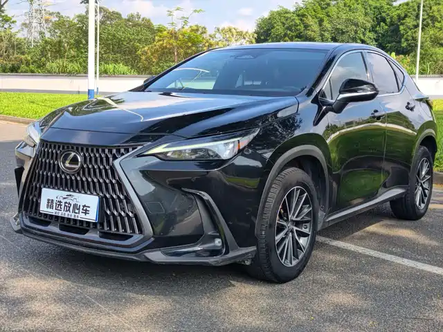 Lexus Lexus NX 2022