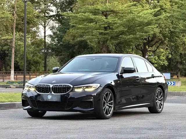 BMW BMW 3 Series 2019