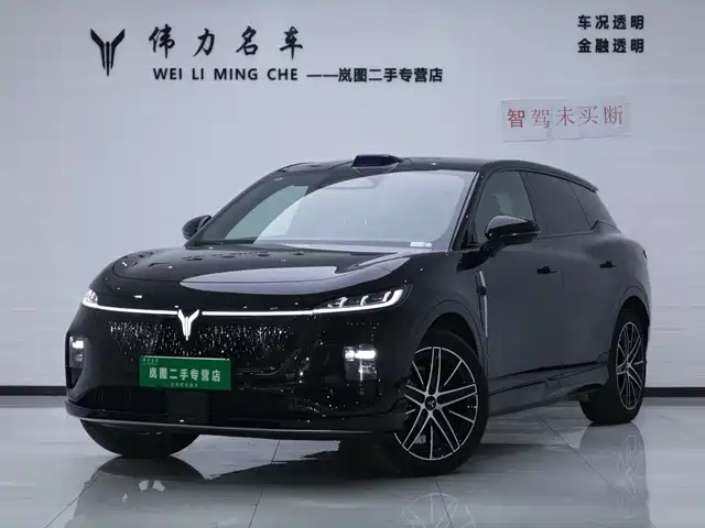 Voyah Auto Voyah Zhiyin 2025