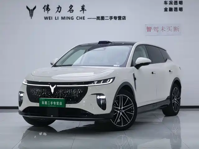 Voyah Auto Voyah Zhiyin 2025