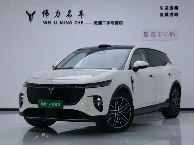 Voyah Auto Voyah Zhiyin 2025