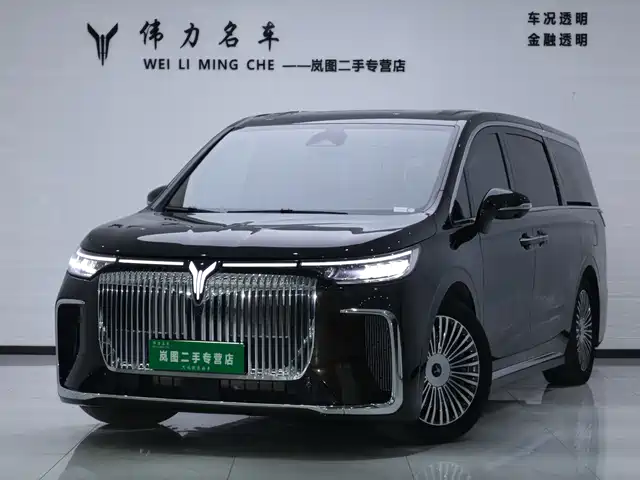 Voyah Auto Voyah Dreamer 2024