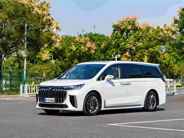Voyah Auto Voyah Dreamer 2024