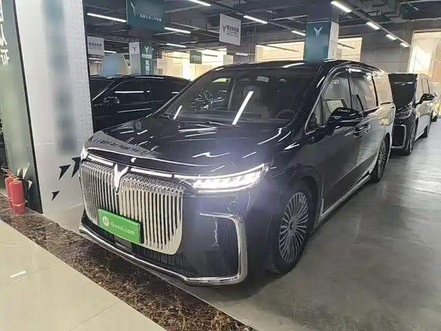 Voyah Auto Voyah Dreamer 2024