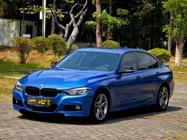 BMW BMW 3 Series 2019