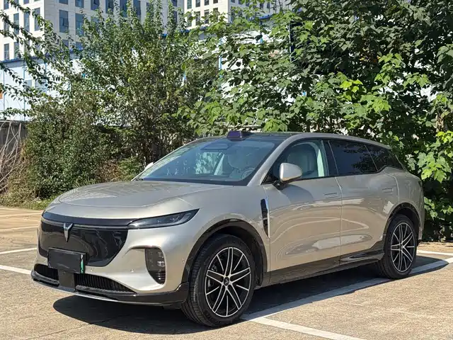 Voyah Auto Voyah Zhiyin 2025
