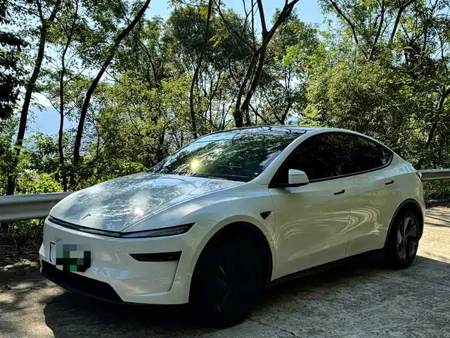 Tesla Model Y 2025