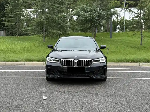 BMW BMW 5 Series New Energy 2023