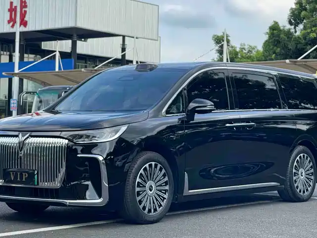 Voyah Auto Voyah Dreamer 2025