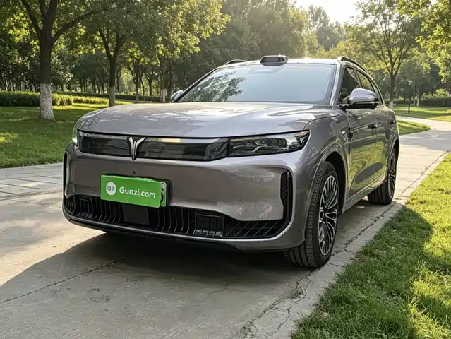 Voyah Auto VOYAH FREE