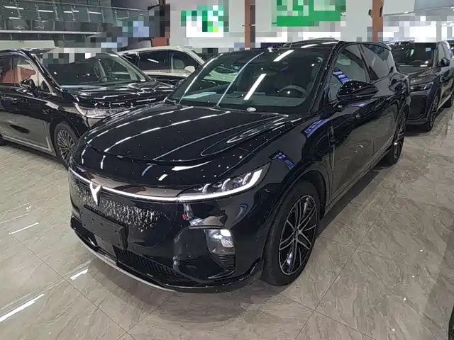 Voyah Auto Voyah Zhiyin 2025