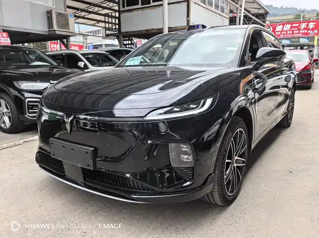 Voyah Auto Voyah Zhiyin 2025