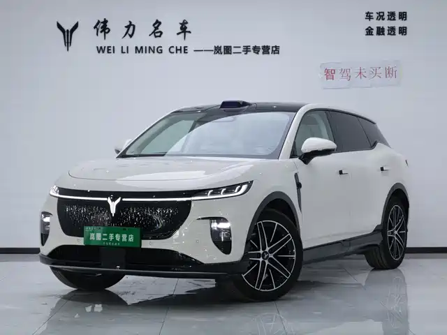 Voyah Auto Voyah Zhiyin 2025