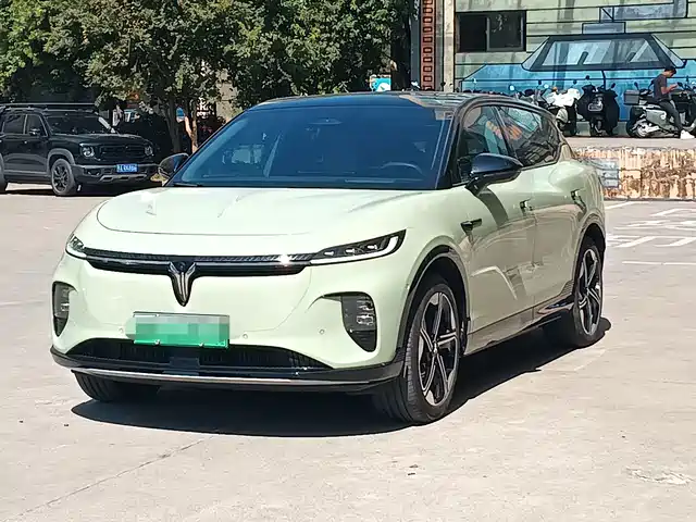 Voyah Auto Voyah Zhiyin